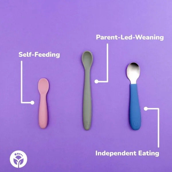 WeeSprout Cucharas de silicona para bebé, paquete de 3 con estuche