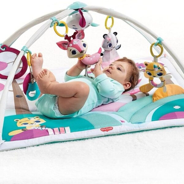 Deluxe gymini Gimnasio para bebés